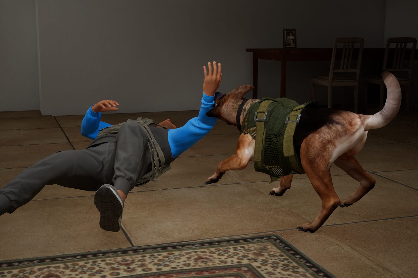 Inside a house, a German Shepherd in a tactical vest bites the raised hand of a suspect lying on the floor