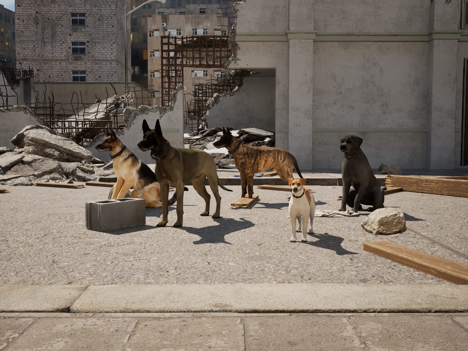 The five MAVRICK breeds side by side: a German Shepherd, a Malinois, a brindle Dutch Shepherd, a black Labrador and a small Jack Russell Terrier