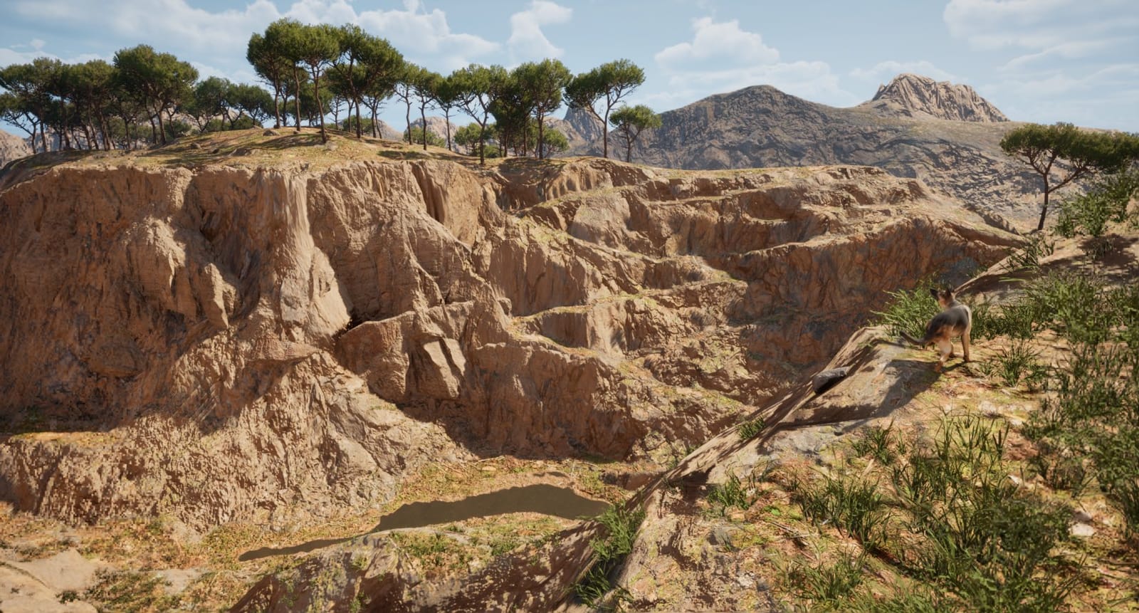 The Mountain scenario: rocky cliffs and pine trees, a German Shepherd standing on the ridge
