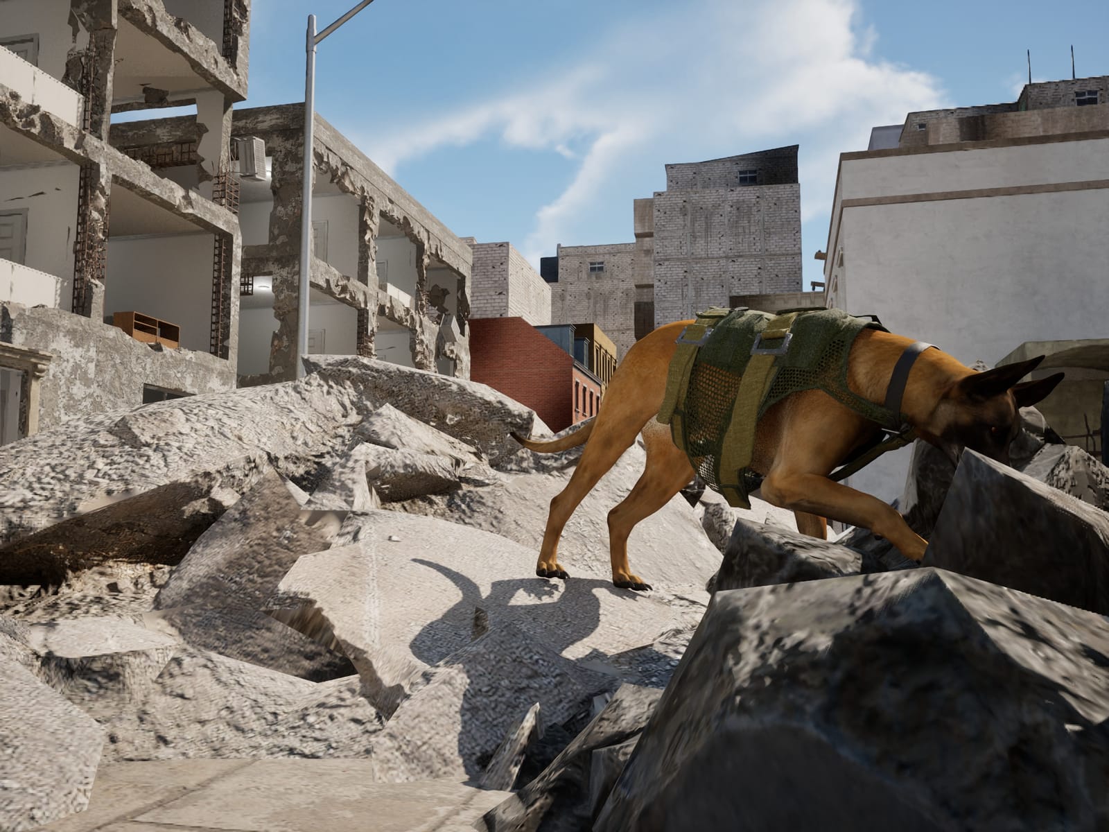 In the Search and Rescue scenario, a Malinois in a rescue vest searches a rubble pile with its nose to the stones, collapsed buildings behind
