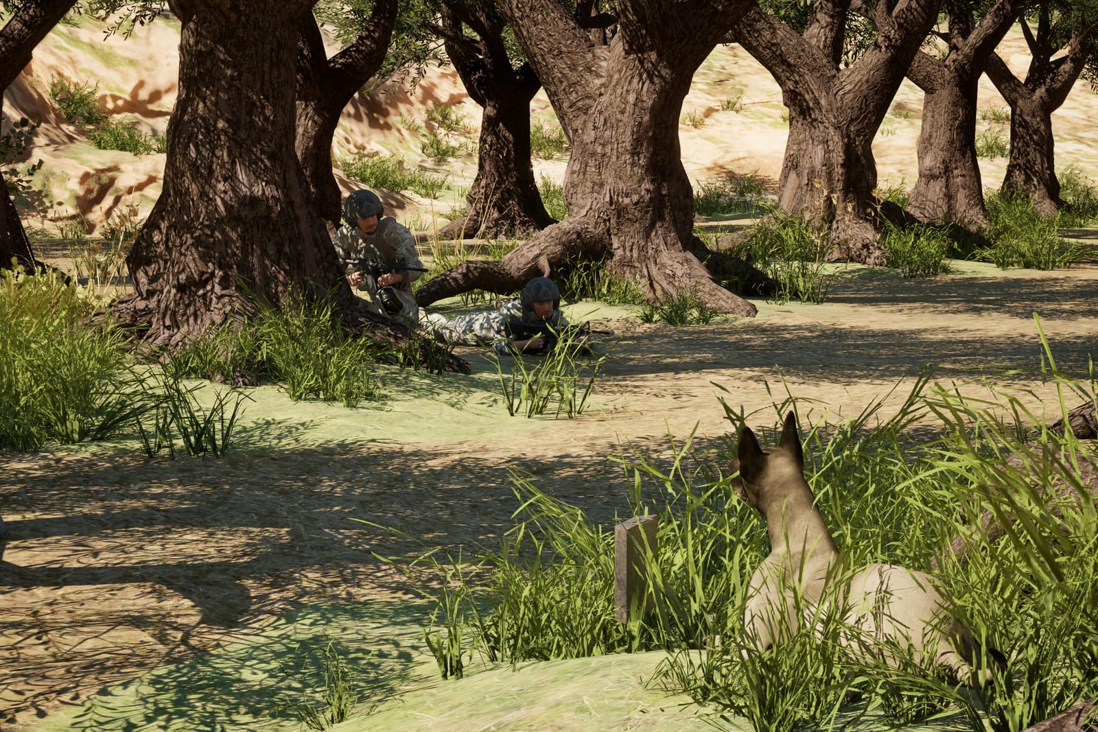 In an olive grove, a Malinois lies in the grass facing an IED half hidden in the bush, with two soldiers waiting behind
